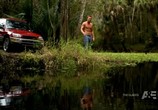 Сериал Болота / The Glades (2010) - cцена 3