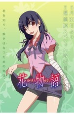 История цветов / Hanamonogatari: Suruga Devil (2014)