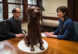 Сериал Безмозглые / BrainDead (2016) - cцена 1