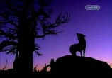 Сериал Томми - оборотень / Big Wolf on Campus (1999) - cцена 3