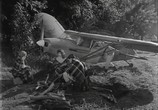 Фильм Остров динозавров / La Isla de los Dinosaurios (1967) - cцена 2
