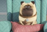 Мультфильм Тайная жизнь домашних животных / The Secret Life of Pets (2016) - cцена 5