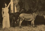 Фильм Пиноккио / Pinocchio (1911) - cцена 1