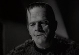 Фильм Сын Франкенштейна / Son of Frankenstein (1939) - cцена 3