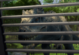 Мультфильм Мир юрского периода: Лагерь мелового периода / Jurassic World: Camp Cretaceous (2020) - cцена 1
