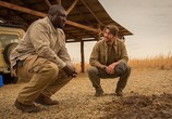 Сериал Зоо-апокалипсис / Zoo (2015) - cцена 3