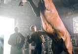 Фильм Боевой конь / War Horse (2012) - cцена 1