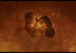 Фильм Сваха / Sabaha (2019) - cцена 2