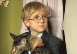 Сериал Полосатое счастье (2012) - cцена 3