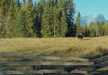 Фильм Дьявол / Diablo (2015) - cцена 3