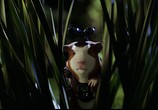 Фильм Миссия Дарвина / G-Force (2009) - cцена 7