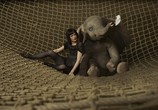 Фильм Дамбо / Dumbo (2019) - cцена 8