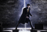 Фильм Фантастические твари: Преступления Грин-де-Вальда / Fantastic Beasts: The Crimes of Grindelwald (2018) - cцена 4
