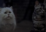 Фильм Стюарт Литтл / Stuart Little (1999) - cцена 3