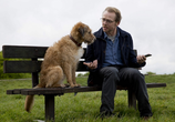 Фильм Всё могу / Absolutely Anything (2015) - cцена 9