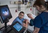 Сериал Новый Амстердам / New Amsterdam (2018) - cцена 2