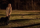 Сериал Амнезия / Absentia (2017) - cцена 1
