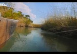 Фильм Вдоль по Окаванго / Into the Okavango (2018) - cцена 2