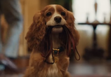Фильм Леди и Бродяга / Lady and the Tramp (2019) - cцена 1