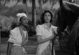 Фильм Я гуляла с зомби / I Walked with a Zombie (1943) - cцена 3