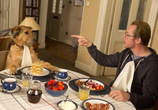 Фильм Всё могу / Absolutely Anything (2015) - cцена 2