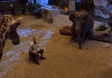 Фильм Мой парень из зоопарка / Zookeeper (2011) - cцена 3