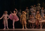 ТВ Пётр Ильич Чайковский: Спящая красавица / Tchaikovsky: Sleeping Beauty (2006) - cцена 8