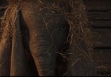 Фильм Дамбо / Dumbo (2019) - cцена 2