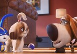 Мультфильм Тайная жизнь домашних животных 2 / The Secret Life of Pets 2 (2019) - cцена 1