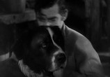 Фильм Зов предков / The Call of the Wild (1935) - cцена 3
