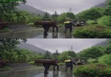 Сцена из фильма Панды: Путешествие домой / Pandas: The Journey Home (2014) Панды: Путешествие домой сцена 22
