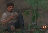 Фильм Пикник у Висячей скалы / Picnic at Hanging Rock (1975) - cцена 6