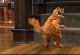 Фильм Гарфилд / Garfield (2004) - cцена 2