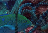 ТВ BBC: Планета Земля / Planet Earth (2006) - cцена 5