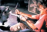 Фильм Зубастики 4 / Critters 4 (1991) - cцена 2