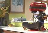 Мультфильм Тайная жизнь домашних животных / The Secret Life of Pets (2016) - cцена 6
