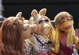 Сериал Маппеты / The Muppets (2015) - cцена 3