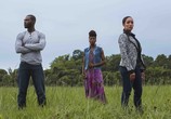 Сериал Королева сахара / Queen Sugar (2016) - cцена 2