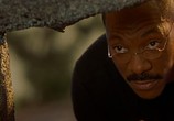 Фильм Доктор Дулиттл 2 / Dr. Dolittle 2 (2001) - cцена 1