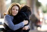 Фильм Любовь к собакам обязательна / Must Love Dogs (2005) - cцена 3