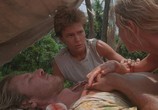 Фильм Берег москитов / The Mosquito Coast (1986) - cцена 1