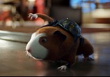 Фильм Миссия Дарвина / G-Force (2009) - cцена 9
