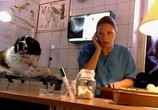 Сериал Такова жизнь (2009) - cцена 6
