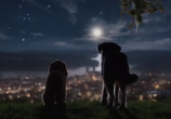 Фильм Леди и Бродяга / Lady and the Tramp (2019) - cцена 2
