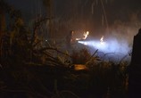 Сериал Болотная тварь / Swamp Thing (2019) - cцена 1
