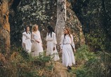 Сериал Пикник у Висячей скалы / Picnic at Hanging Rock (2018) - cцена 5